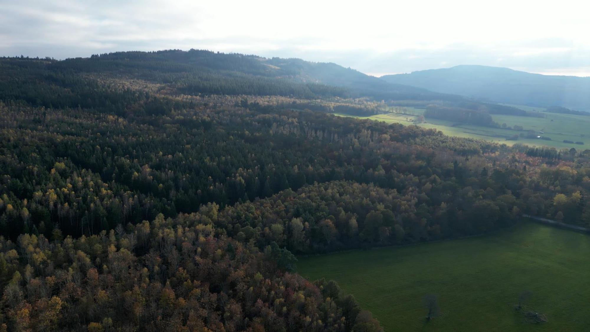 Haus Indy Lägenhet Gemunden  Exteriör bild